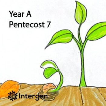 Year A Pentecost 7